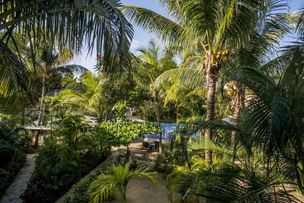 Paradise Oceanic Hotel West Bay Eksteriør billede